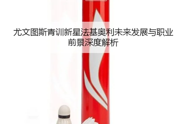 尤文图斯青训新星法基奥利未来发展与职业前景深度解析
